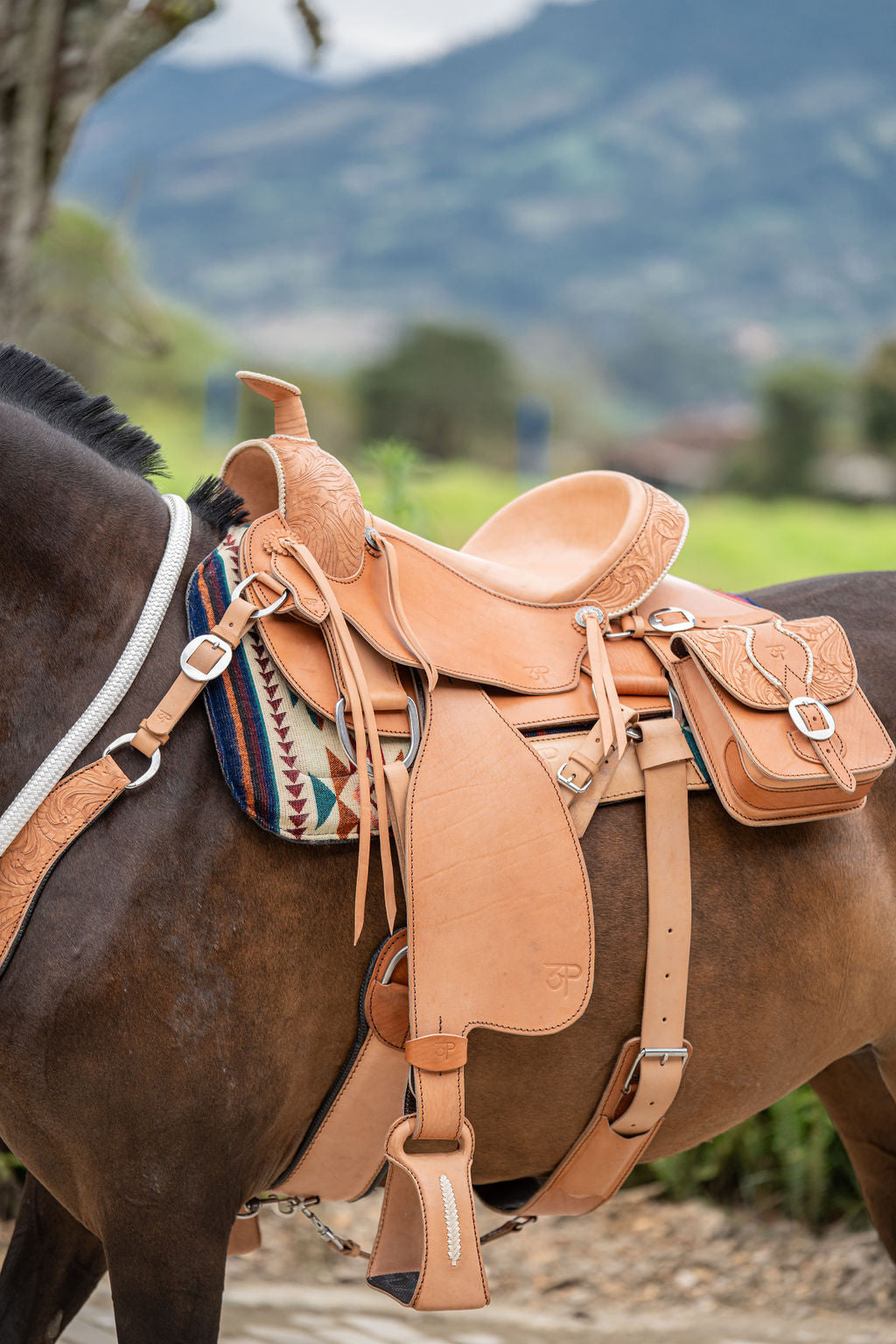 SILLAS PARA PASEO